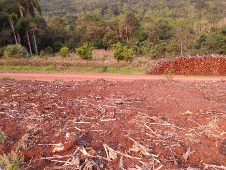 B-511     52,00 HA DE TERRAS NA LINHA OLINDA-NOVA PETRÓPOLIS!!!!