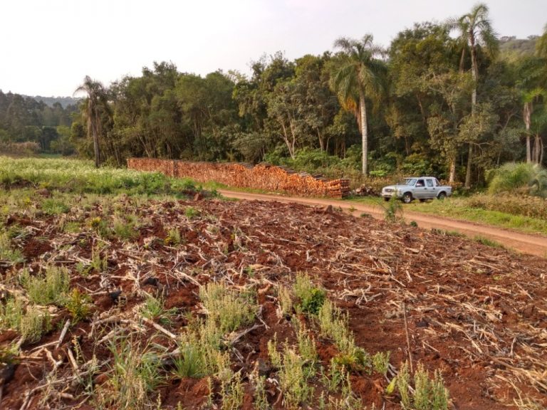 B-511     52,00 HA DE TERRAS NA LINHA OLINDA-NOVA PETRÓPOLIS!!!!
