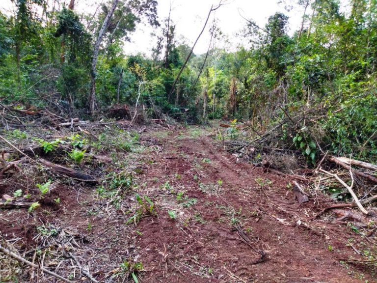B-511     52,00 HA DE TERRAS NA LINHA OLINDA-NOVA PETRÓPOLIS!!!!