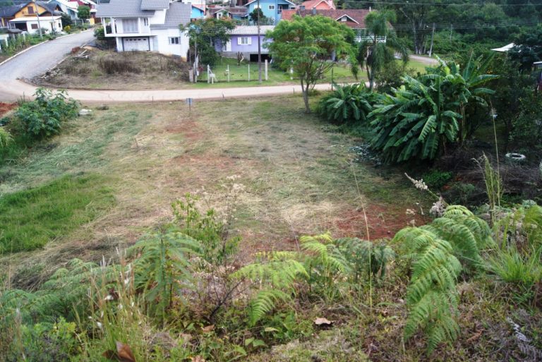 B-125     FANTÁSTICO TERRENO NA ENTRADA DE NOVA PETRÓPOLIS COM FRENTE PARA A BR 116!!!