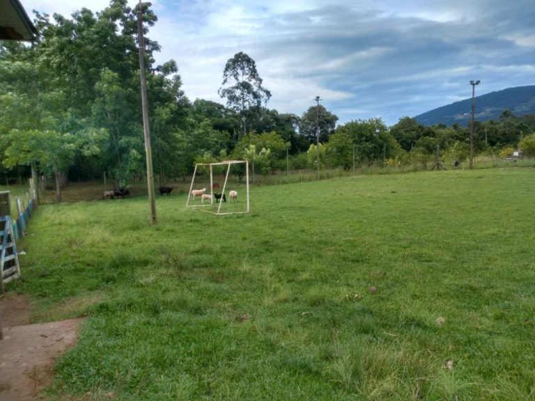 B-456     FANTÁSTICO SÍTIO EM NOVA PETRÓPOLIS!!! VALE A PENA CONHECER!!!