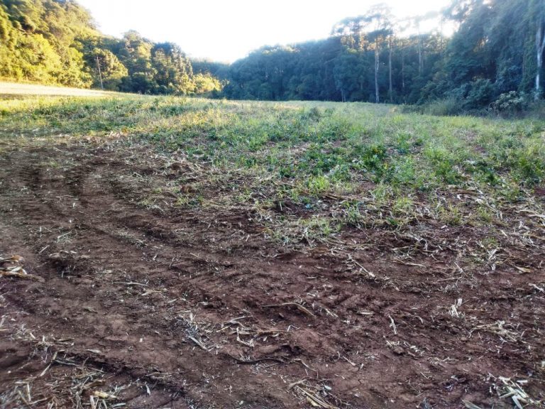 B-557     LINDA ÁREA DE TERRAS NA LINHA IMPERIAL – NOVA PETRÓPOLIS-SERRA GAÚCHA!!!