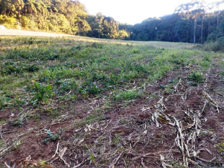 B-557     LINDA ÁREA DE TERRAS NA LINHA IMPERIAL – NOVA PETRÓPOLIS-SERRA GAÚCHA!!!