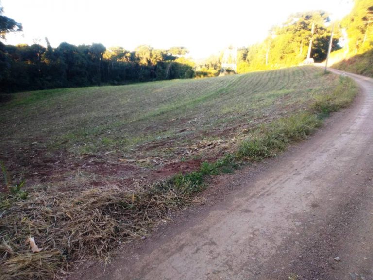 B-557     LINDA ÁREA DE TERRAS NA LINHA IMPERIAL – NOVA PETRÓPOLIS-SERRA GAÚCHA!!!