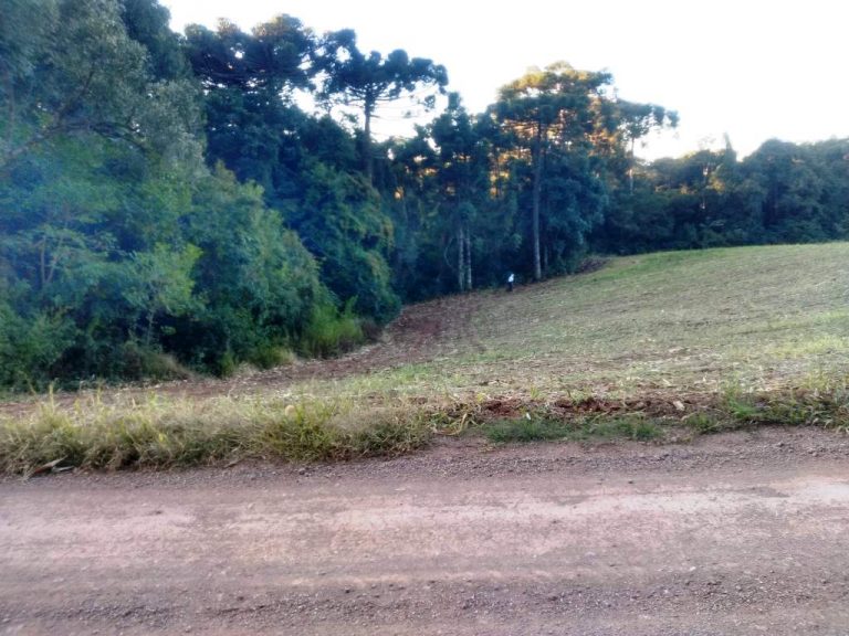 B-557     LINDA ÁREA DE TERRAS NA LINHA IMPERIAL – NOVA PETRÓPOLIS-SERRA GAÚCHA!!!
