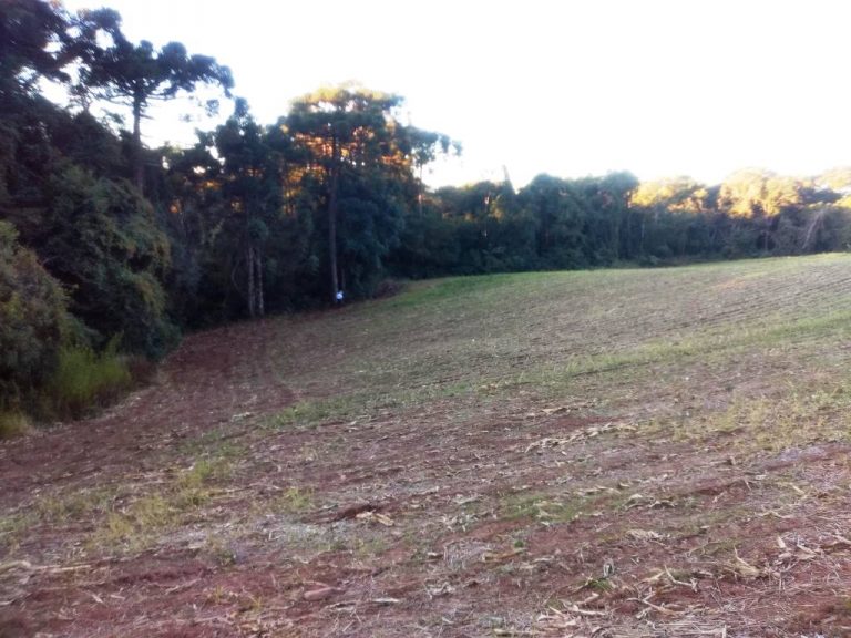 B-557     LINDA ÁREA DE TERRAS NA LINHA IMPERIAL – NOVA PETRÓPOLIS-SERRA GAÚCHA!!!