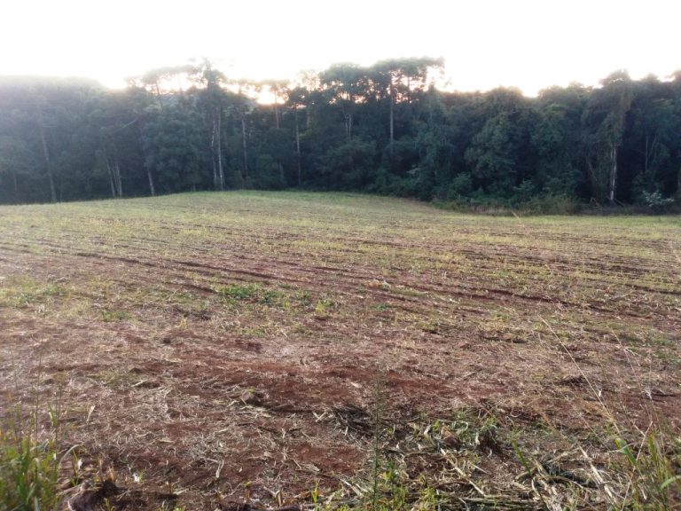 B-557     LINDA ÁREA DE TERRAS NA LINHA IMPERIAL – NOVA PETRÓPOLIS-SERRA GAÚCHA!!!