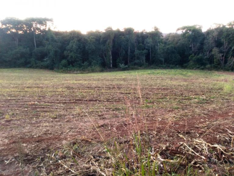 B-557     LINDA ÁREA DE TERRAS NA LINHA IMPERIAL – NOVA PETRÓPOLIS-SERRA GAÚCHA!!!