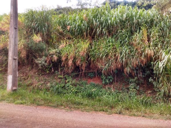 B-111     FANTÁSTICO TERRENO DE 430,00M² EM PINHAL ALTO-NOVA PETRÓPOLIS-RS!!!! PREÇO SEM IGUAL!!!!