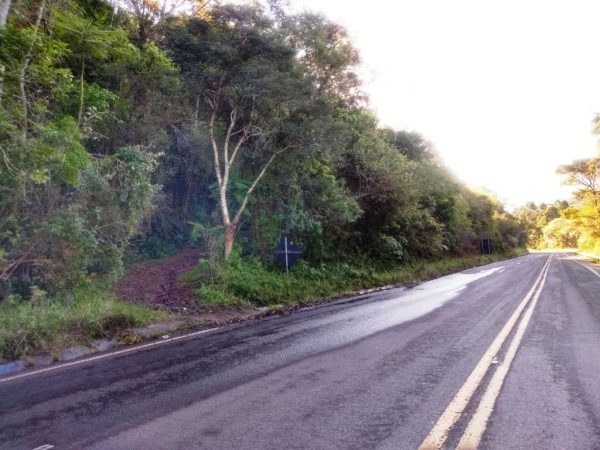 B-558     ÁREA DE TERRAS AO LADO DA BR 116 EM NOVA PETRÓPOLIS COM EXUBERANTE VISTA PANORÂMICA!!!