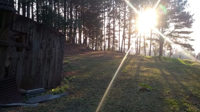 B-564     Área de terras em São Francisco de Paula – Serra Gaúcha