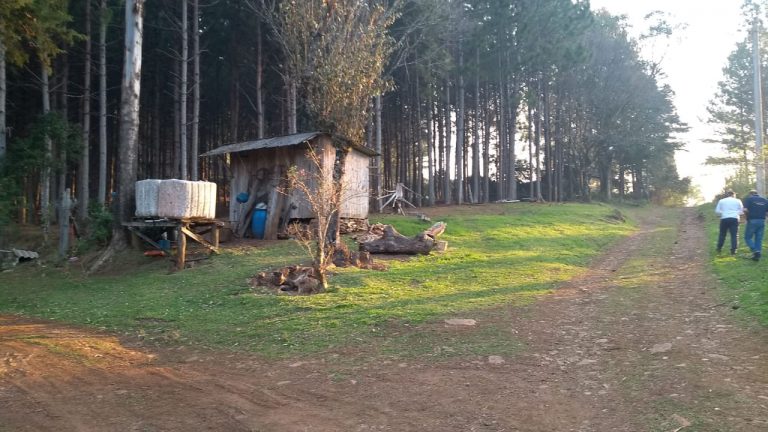 B-564     Área de terras em São Francisco de Paula – Serra Gaúcha