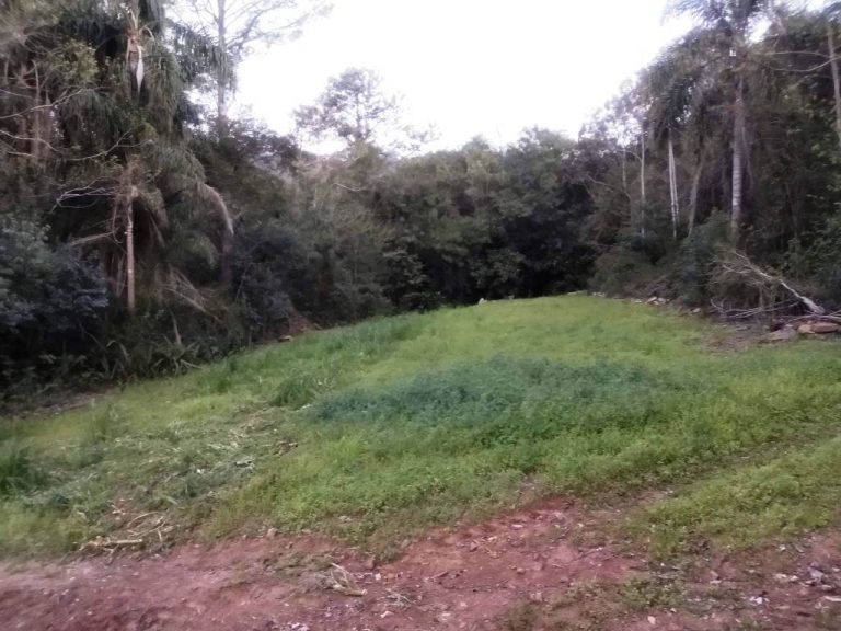 B-32     FANTÁSTICO TERRENO DE FRENTE PARA RS 235!!!!
