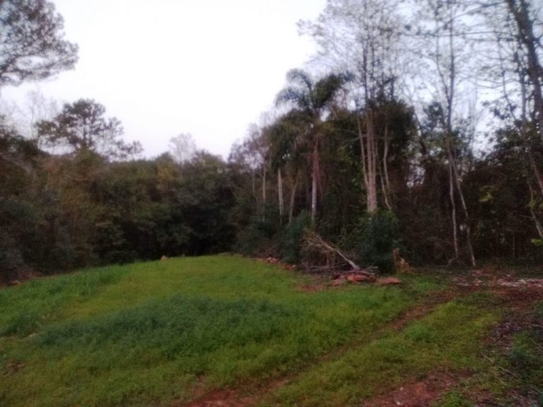 B-32     FANTÁSTICO TERRENO DE FRENTE PARA RS 235!!!!