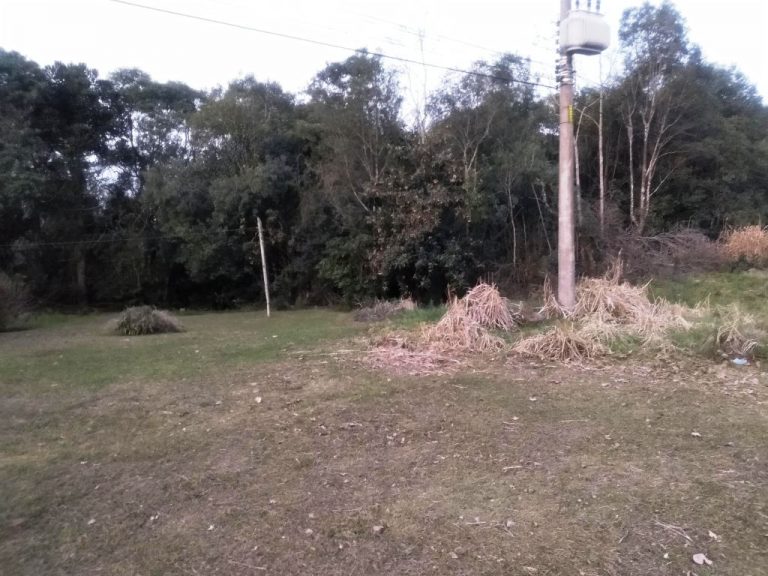 B-562     LINDO TERRENO COM FRENTE PRA RS 235!!!