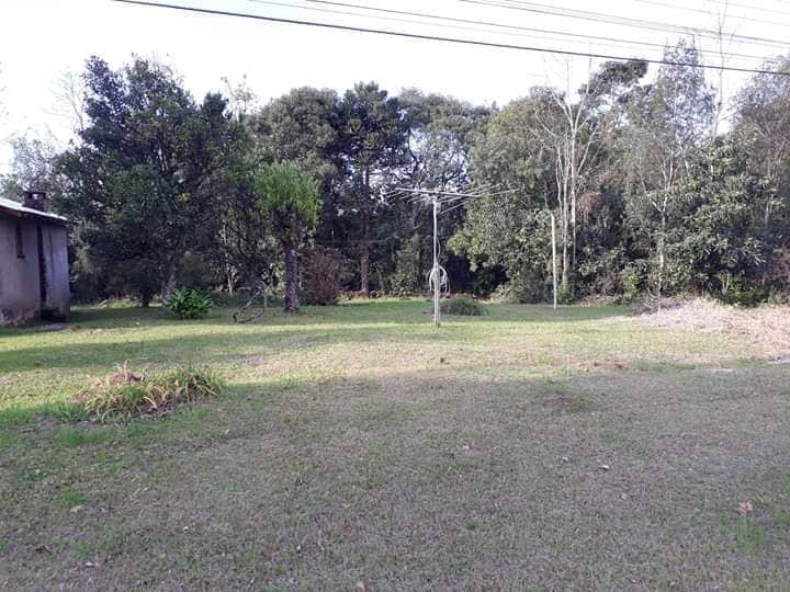 B-32     FANTÁSTICO TERRENO DE FRENTE PARA RS 235!!!!