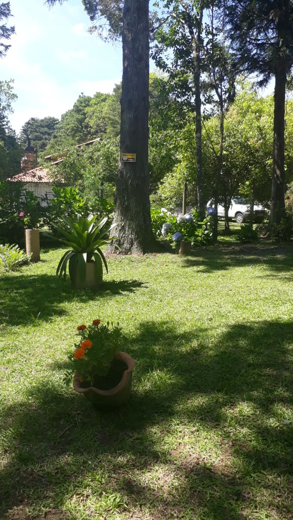 B-359     Casas em São Francisco de Paula próximas ao Lago São Bernardo