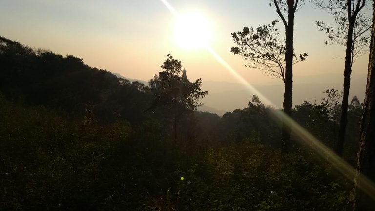 B-564     Área de terras em São Francisco de Paula – Serra Gaúcha