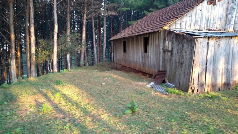 B-564     Área de terras em São Francisco de Paula – Serra Gaúcha