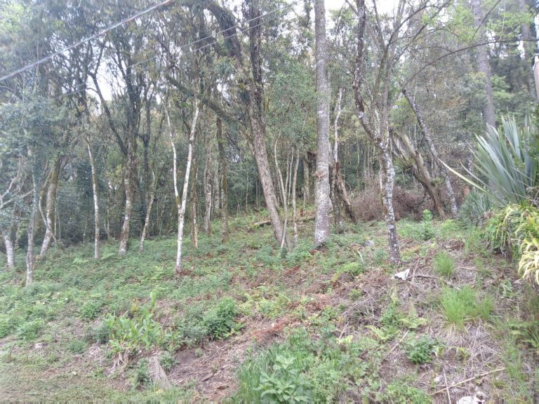 B-71     LINDO E AMPLO TERRENO EM BAIRRO NOBRE NA CIDADE DE CANELA!!!