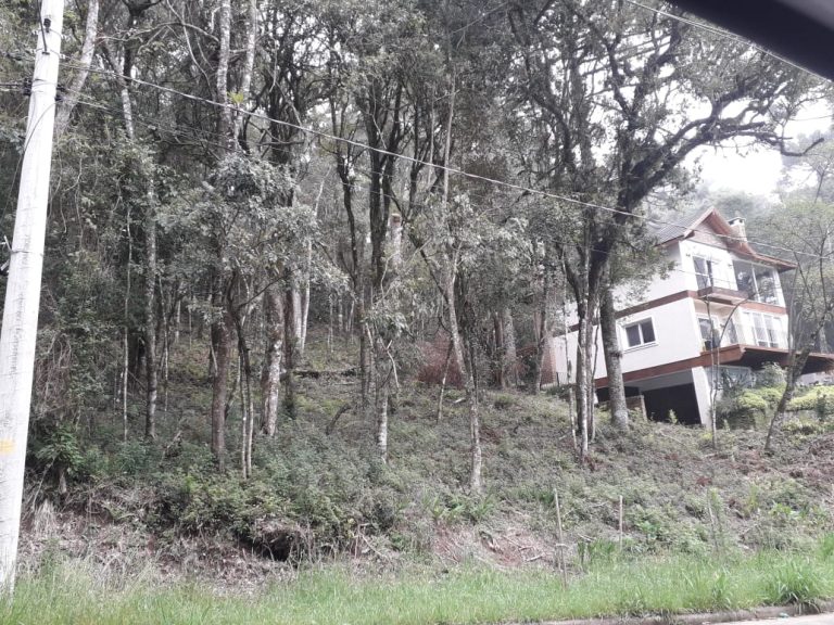 B-71     LINDO E AMPLO TERRENO EM BAIRRO NOBRE NA CIDADE DE CANELA!!!