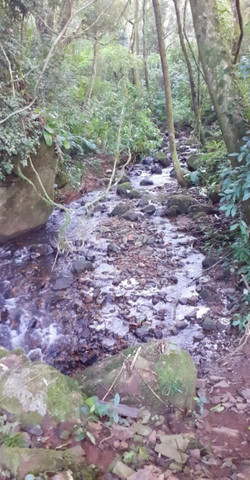 B-463     SÍTIO COM 10,00 Ha ao lado da ÁREA URBANA DE NOVA PETRÓPOLIS!!!