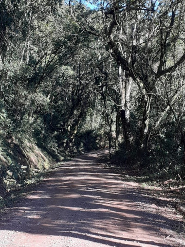 B-463     SÍTIO COM 10,00 Ha ao lado da ÁREA URBANA DE NOVA PETRÓPOLIS!!!