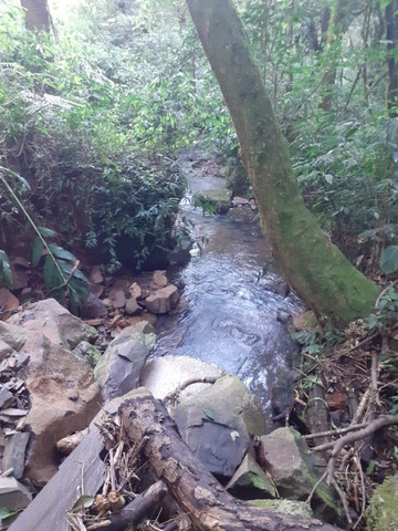 B-463     SÍTIO COM 10,00 Ha ao lado da ÁREA URBANA DE NOVA PETRÓPOLIS!!!