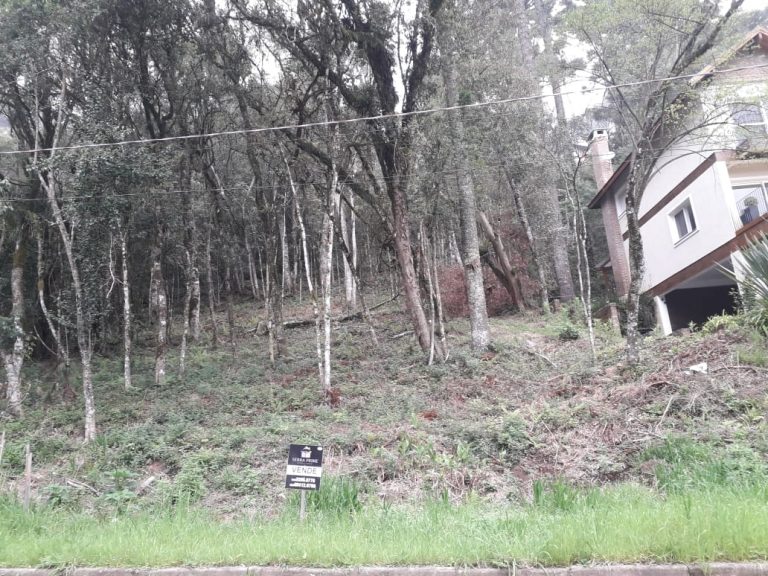 B-71     LINDO E AMPLO TERRENO EM BAIRRO NOBRE NA CIDADE DE CANELA!!!