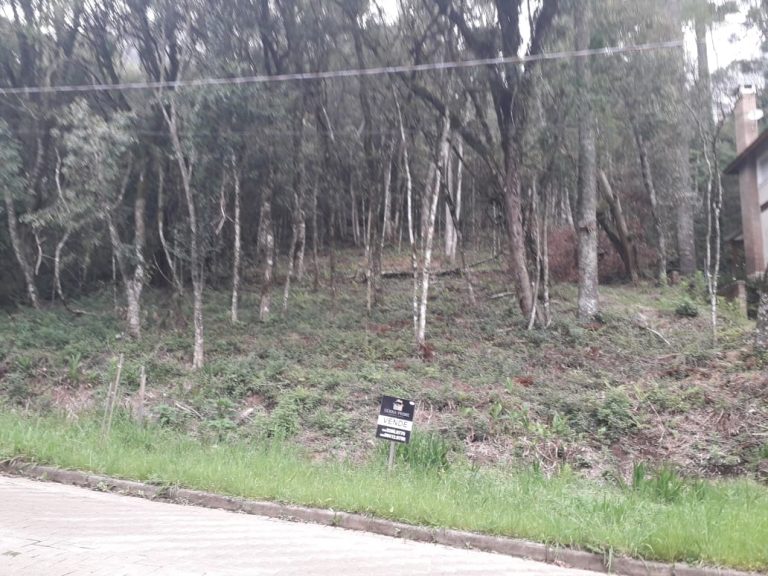 B-71     LINDO E AMPLO TERRENO EM BAIRRO NOBRE NA CIDADE DE CANELA!!!