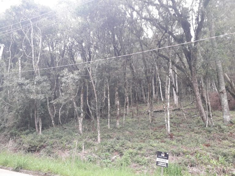 B-71     LINDO E AMPLO TERRENO EM BAIRRO NOBRE NA CIDADE DE CANELA!!!