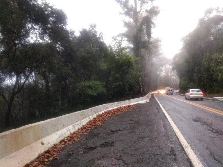 B-519     ÁREA DE TERRAS AO LADO DA BR 116 EM NOVA PETRÓPOLIS SERRA GAUCHA!!!!