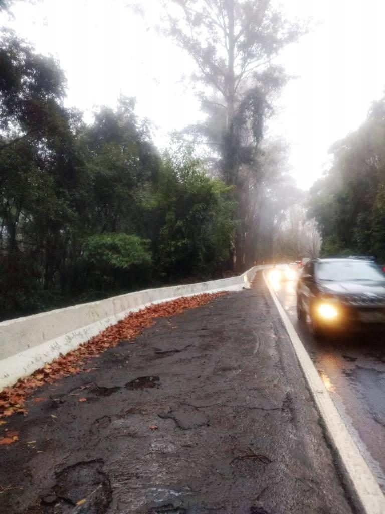 B-519     ÁREA DE TERRAS AO LADO DA BR 116 EM NOVA PETRÓPOLIS SERRA GAUCHA!!!!
