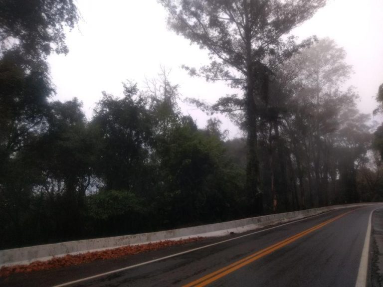 B-519     ÁREA DE TERRAS AO LADO DA BR 116 EM NOVA PETRÓPOLIS SERRA GAUCHA!!!!