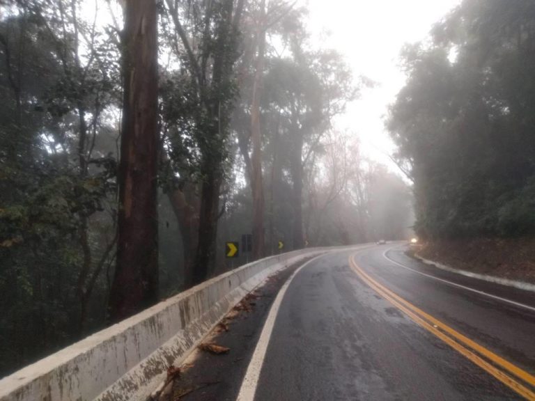 B-519     ÁREA DE TERRAS AO LADO DA BR 116 EM NOVA PETRÓPOLIS SERRA GAUCHA!!!!