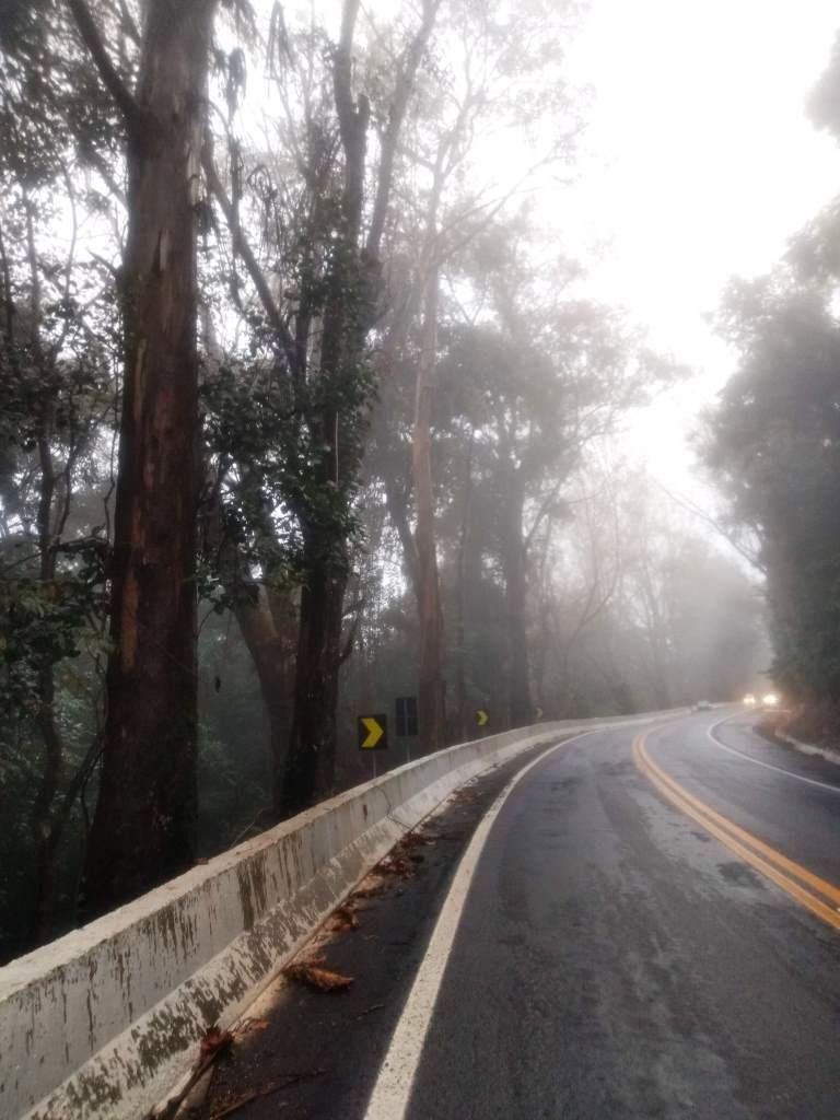 B-519     ÁREA DE TERRAS AO LADO DA BR 116 EM NOVA PETRÓPOLIS SERRA GAUCHA!!!!