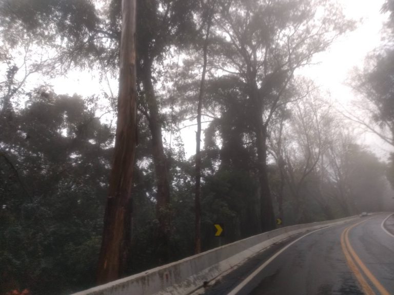 B-519     ÁREA DE TERRAS AO LADO DA BR 116 EM NOVA PETRÓPOLIS SERRA GAUCHA!!!!