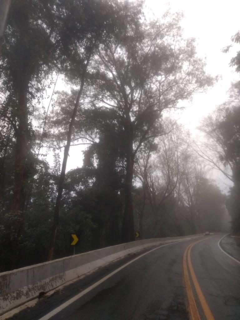 B-519     ÁREA DE TERRAS AO LADO DA BR 116 EM NOVA PETRÓPOLIS SERRA GAUCHA!!!!