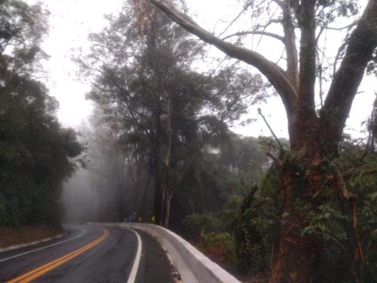 B-519     ÁREA DE TERRAS AO LADO DA BR 116 EM NOVA PETRÓPOLIS SERRA GAUCHA!!!!