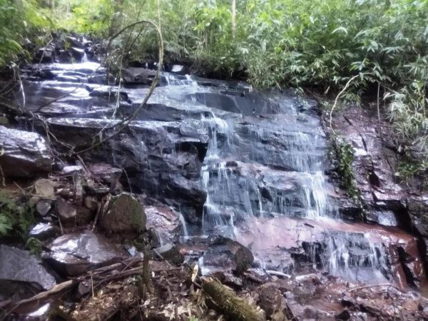 B-519     ÁREA DE TERRAS AO LADO DA BR 116 EM NOVA PETRÓPOLIS SERRA GAUCHA!!!!