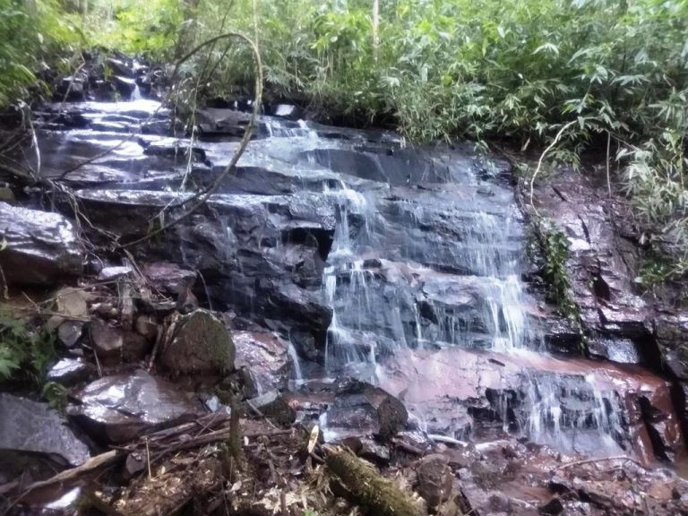 B-519     ÁREA DE TERRAS AO LADO DA BR 116 EM NOVA PETRÓPOLIS SERRA GAUCHA!!!!