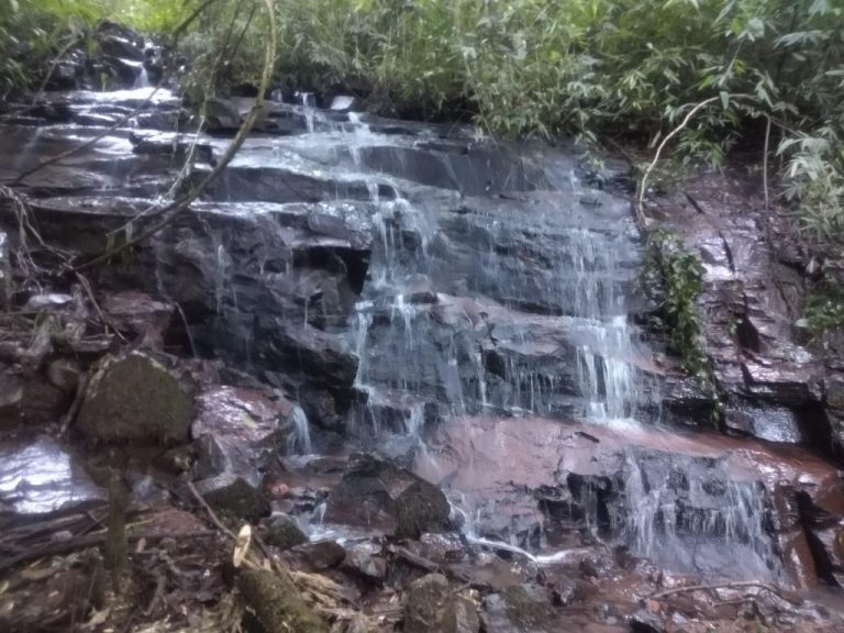 B-519     ÁREA DE TERRAS AO LADO DA BR 116 EM NOVA PETRÓPOLIS SERRA GAUCHA!!!!