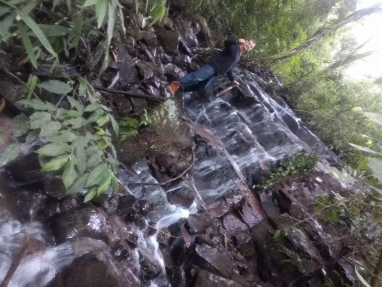 B-519     ÁREA DE TERRAS AO LADO DA BR 116 EM NOVA PETRÓPOLIS SERRA GAUCHA!!!!