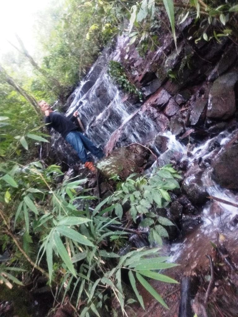 B-519     ÁREA DE TERRAS AO LADO DA BR 116 EM NOVA PETRÓPOLIS SERRA GAUCHA!!!!