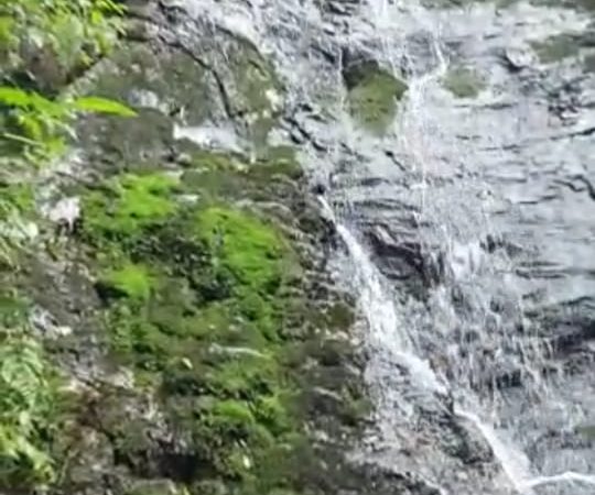 B-570 ÁREA DE TERRAS COM 6 HECTARES EM NOVA HARTZ