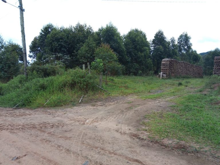 B-574  Área De Terras De 10 Hectares em Capela De Santana.