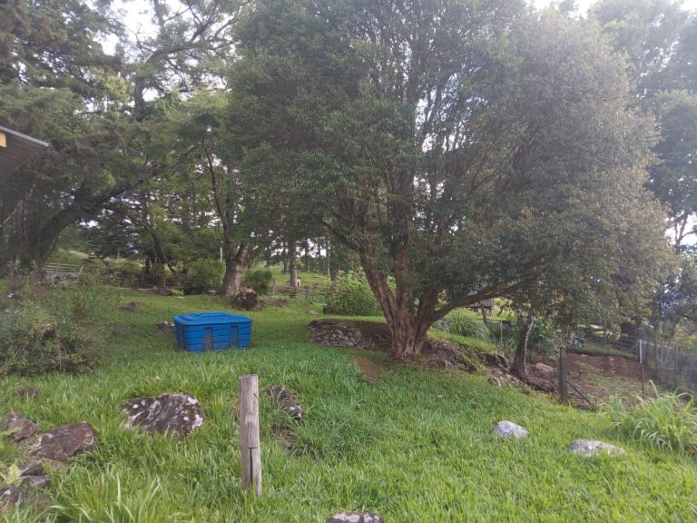 B-466 LINDO SÍTIO EM SÃO FRANCISCO DE PAULA COM 8 HECTARES