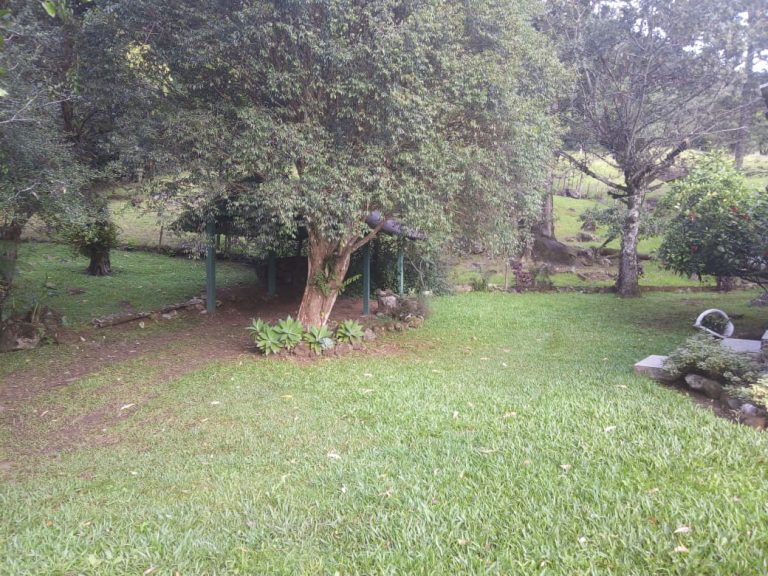 B-466 LINDO SÍTIO EM SÃO FRANCISCO DE PAULA COM 8 HECTARES