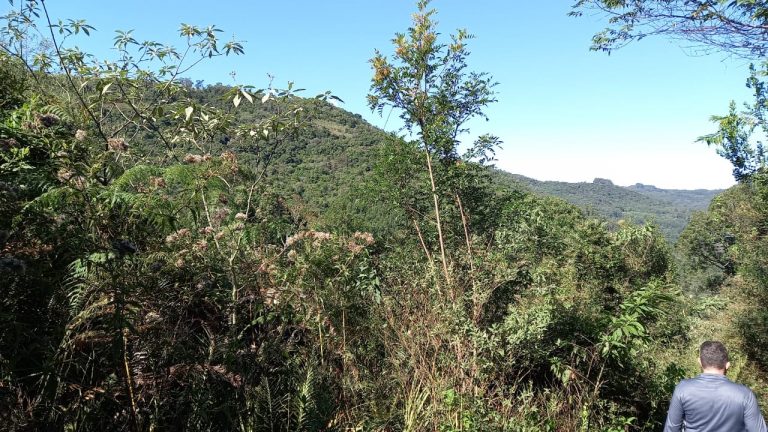 B-569 Área De Terras em Santa Maria Do Herval Próximo Ao Centro Da Cidade (7,8 Ha)