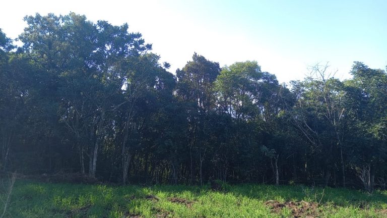 B-572 ÁREA DE TERRAS EM MORRO REUTER COM FANTÁSTICA VISTA PANORÂMICA